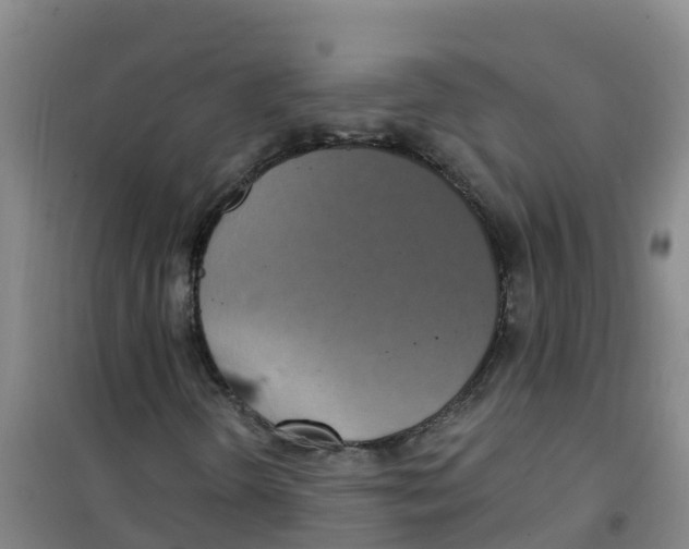 X0000100361298200807031828