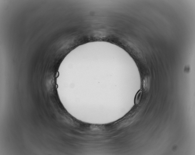 X0000100361299200807031828