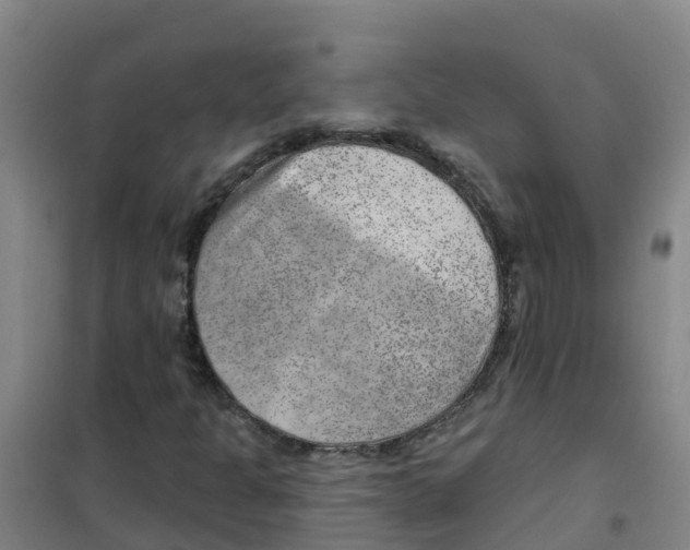 X0000100361301200807031828
