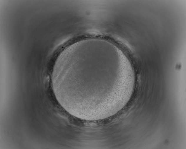 X0000100361302200807031828
