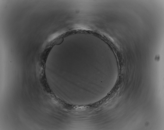 X0000100361303200807031829