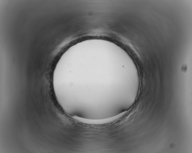 X0000100361304200807031829