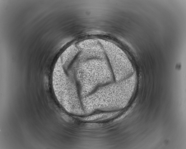 X0000100361305200807031829