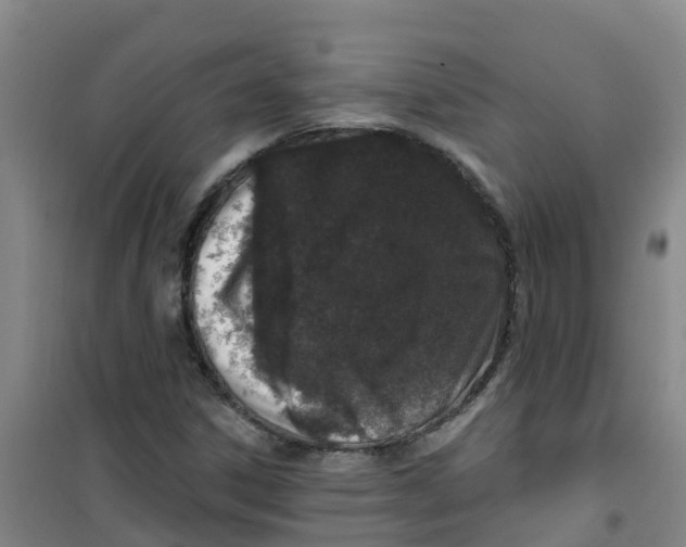 X0000100361306200807031829