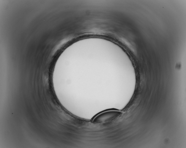 X0000100361307200807031829