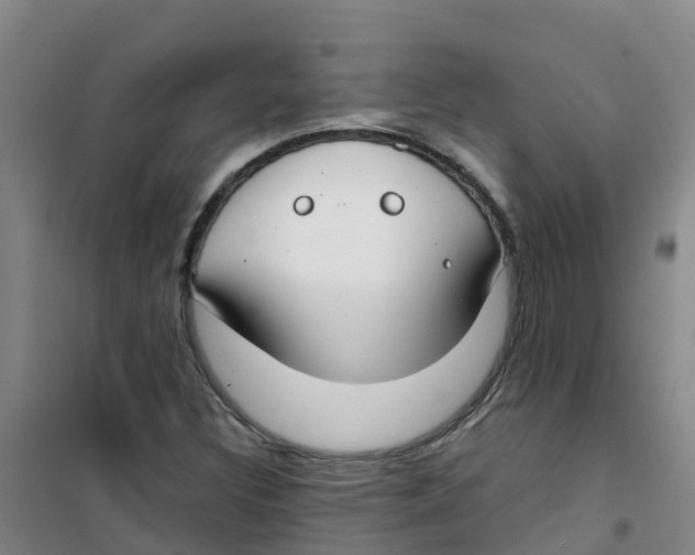 X0000100361308200807031829