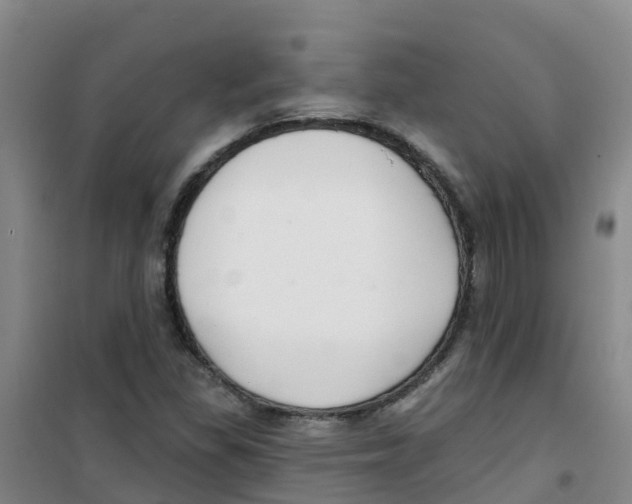 X0000100361309200807031829