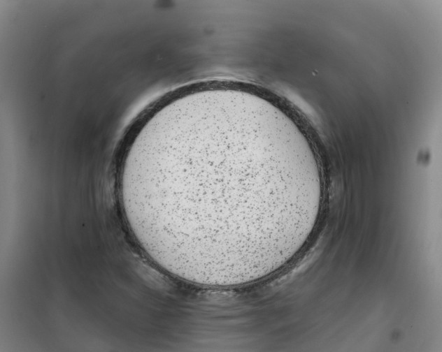 X0000100361310200807031829