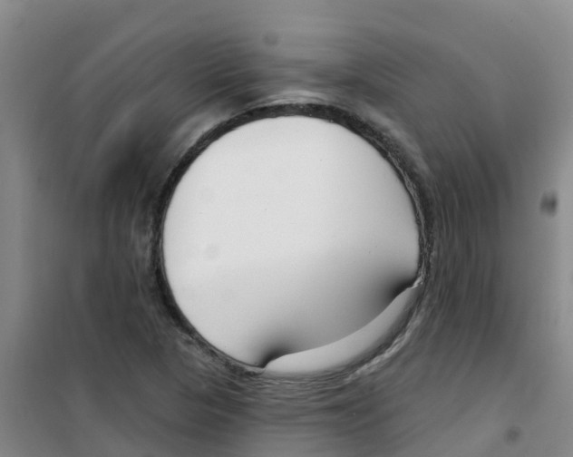 X0000100361313200807031829