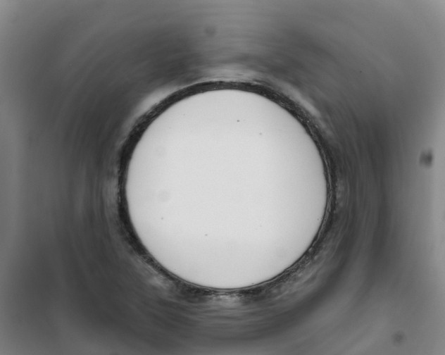 X0000100361315200807031829