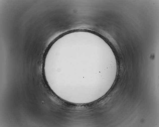 X0000100361316200807031829