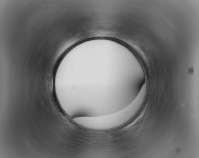 X0000100361317200807031829