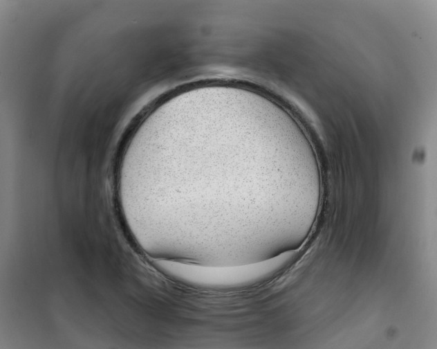 X0000100361318200807031829