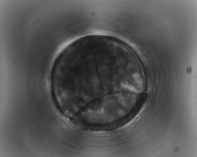 X0000100361319200807031829