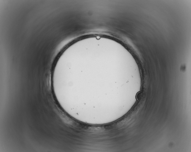 X0000100361320200807031829
