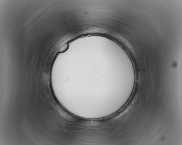 X0000100361321200807031829