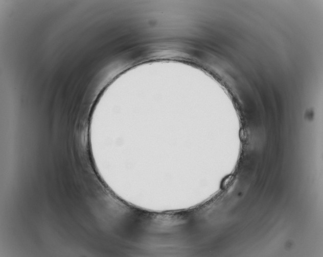 X0000100361322200807031829