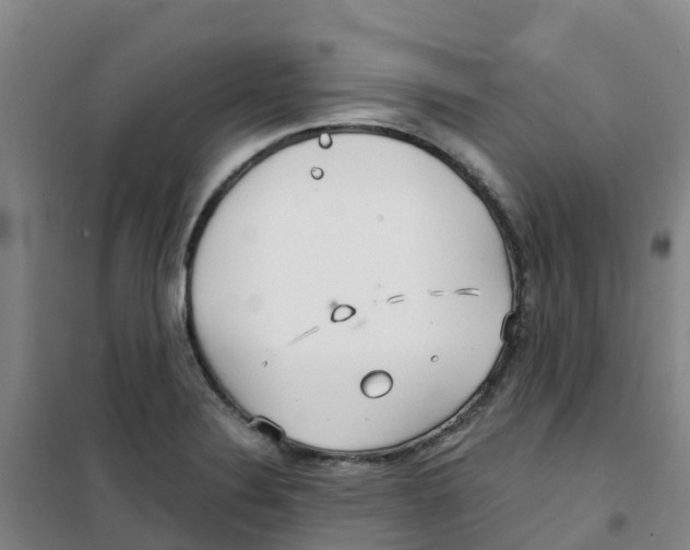 X0000100361324200807031829
