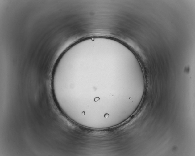 X0000100361325200807031829
