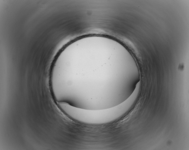 X0000100361326200807031829