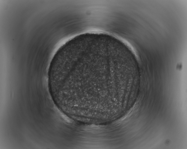 X0000100361327200807031829