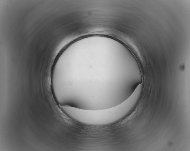 X0000100361328200807031829