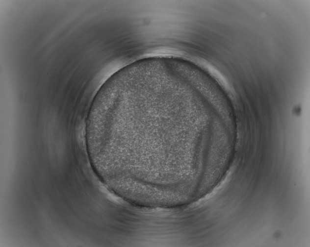 X0000100361329200807031829