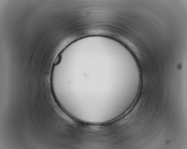 X0000100361330200807031829