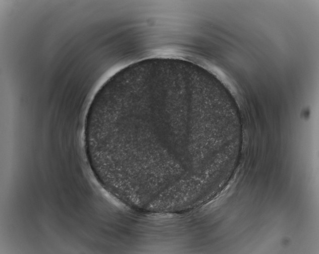 X0000100361331200807031829