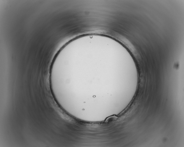 X0000100361332200807031829