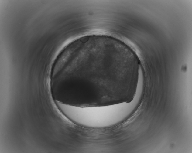 X0000100361334200807031829