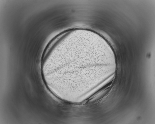 X0000100361335200807031829