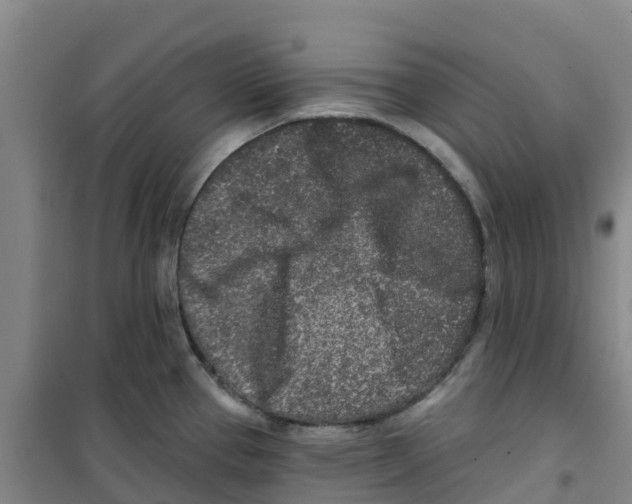 X0000100361337200807031829