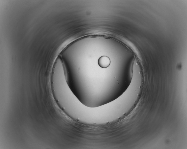 X0000100361338200807031829