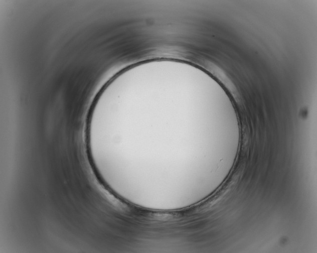 X0000100361339200807031829