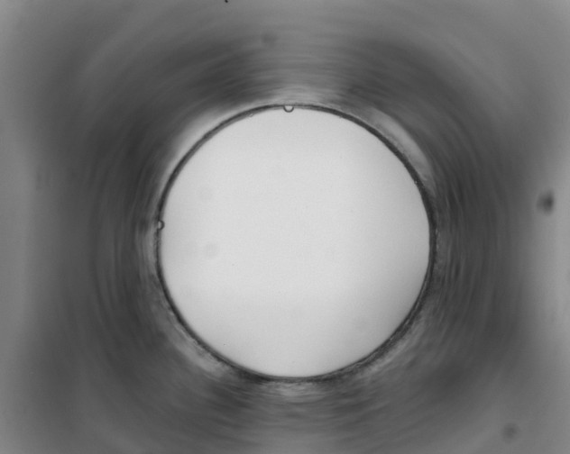 X0000100361340200807031829