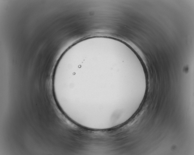 X0000100361341200807031829