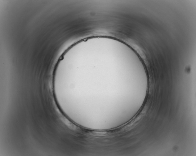 X0000100361342200807031829