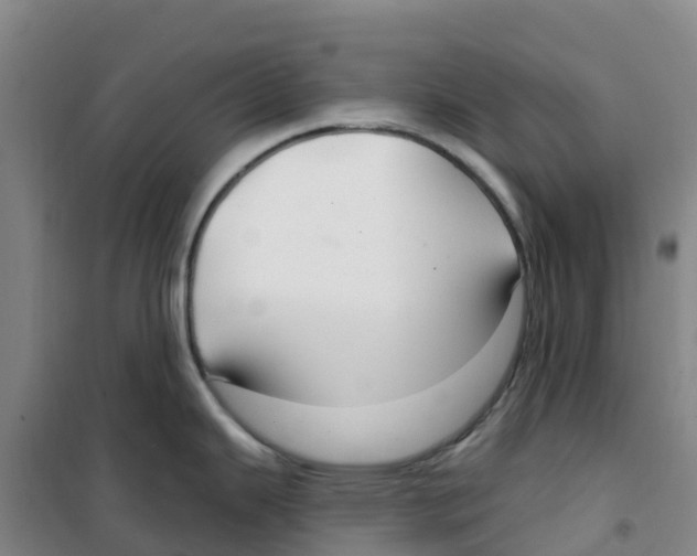 X0000100361343200807031829