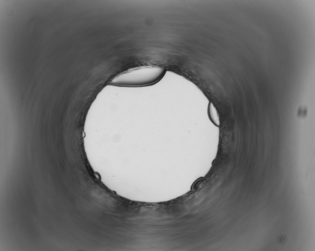 X0000100361345200807031828
