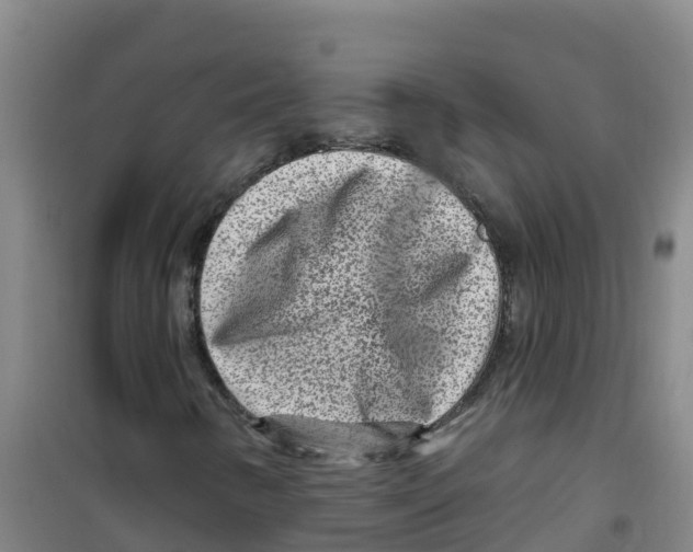 X0000100361346200807031828