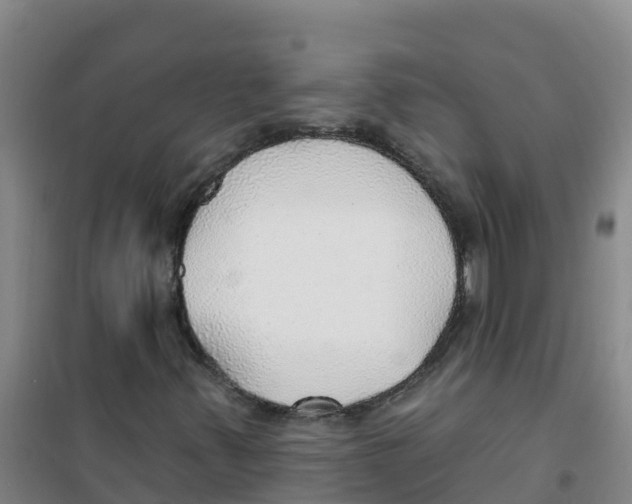 X0000100361347200807031828