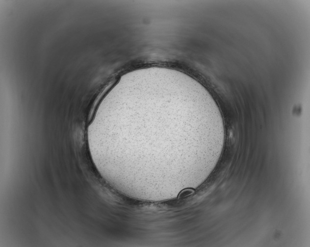 X0000100361348200807031828