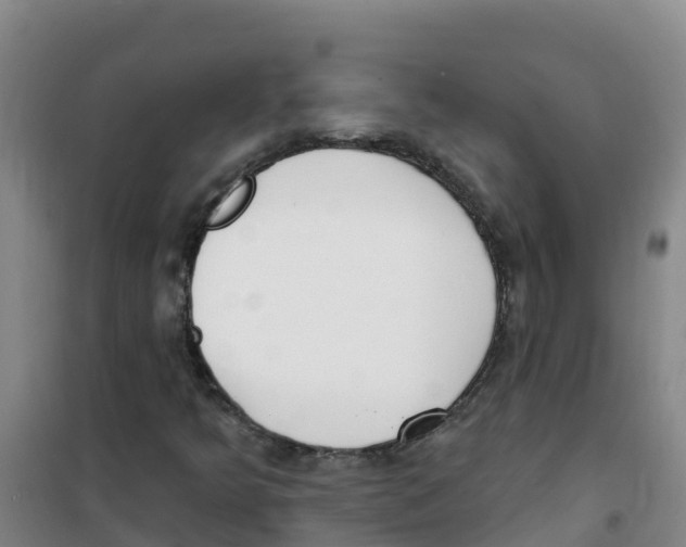 X0000100361349200807031828