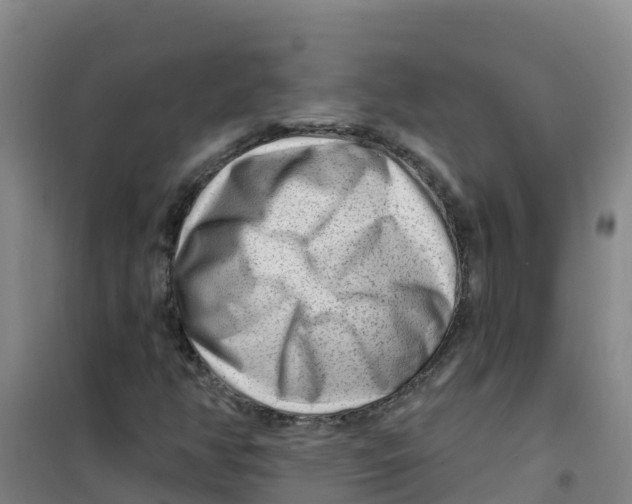 X0000100361350200807031828