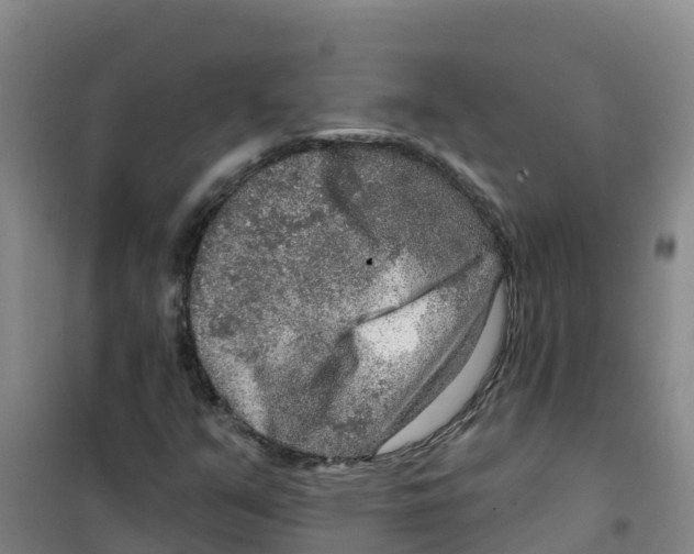 X0000100361351200807031828