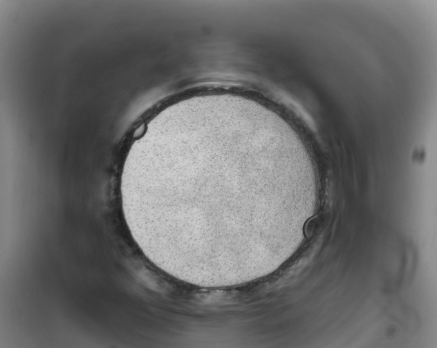 X0000100361352200807031828