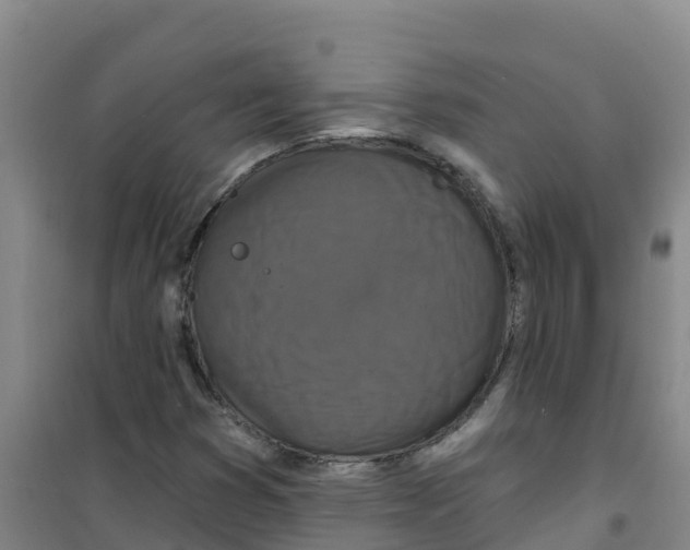 X0000100361353200807031828