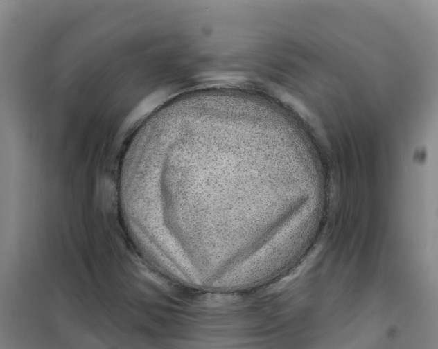 X0000100361354200807031828
