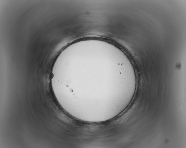 X0000100361355200807031828
